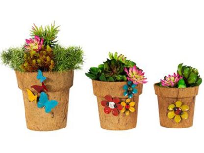 Cocopots Summer Of Love (Set Of Three)