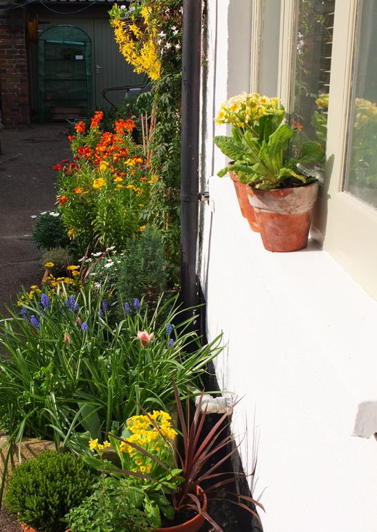 container garden makeover