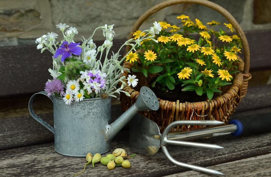 good container gardening