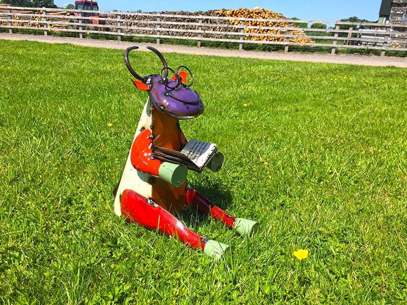 Cow Scholar