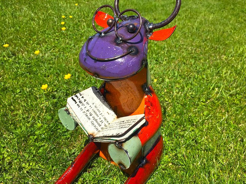 Cow Scholar