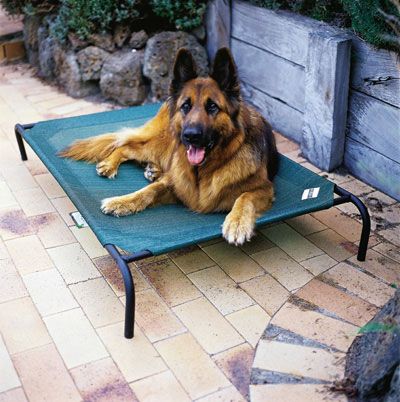 Dog Bed - Small and Large