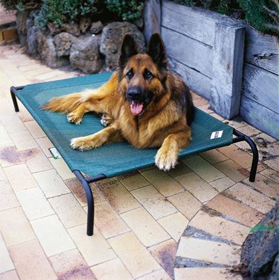 Dog Bed - Small and Large