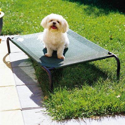 Dog Bed - Small and Large