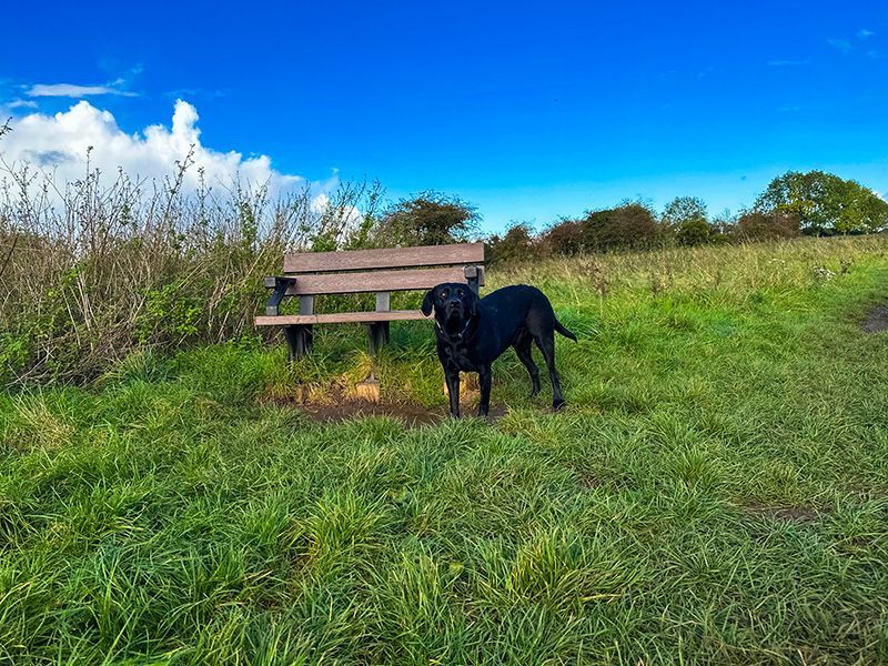 Eco Park Bench Arms 1.3m-Garden Furniture Centre-MidInstock,instock,MidRange,Active,park benches,Benches,Outdoor Furniture,Eco Bench Range,Recycled Eco-Benches,Memorial Benches-{collection_title}