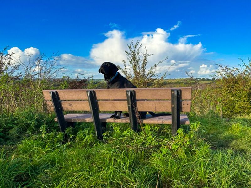 Eco Park Bench 1.5m-Garden Furniture Centre-MidInstock,instock,MidRange,Active,park benches,Benches,Outdoor Furniture,Eco Bench Range,Recycled Eco-Benches,Memorial Benches-{collection_title}