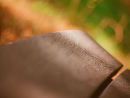 Eco Curved Backless Bench