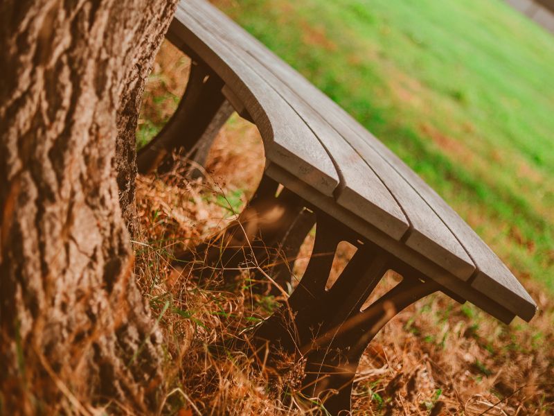Eco Curved Backless Bench