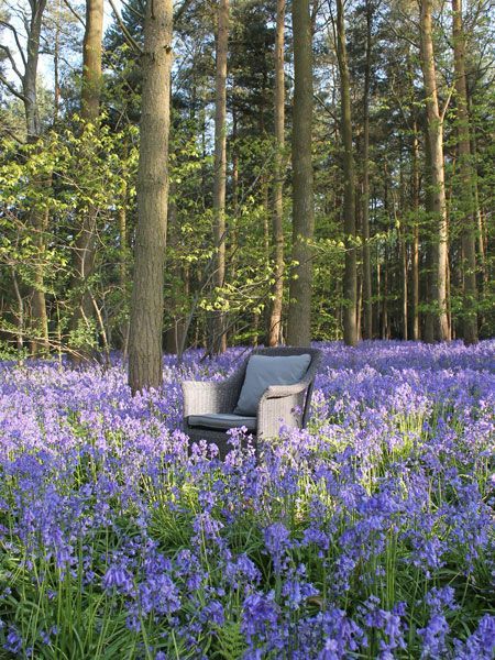 Eco Loom Chair | Charcoal Grey-Garden Furniture Centre-MidInstock,instock,MidRange,Outdoor Dining,Dining Chair,Rattan,Outdoor Furniture,Rattan Furniture-{collection_title}