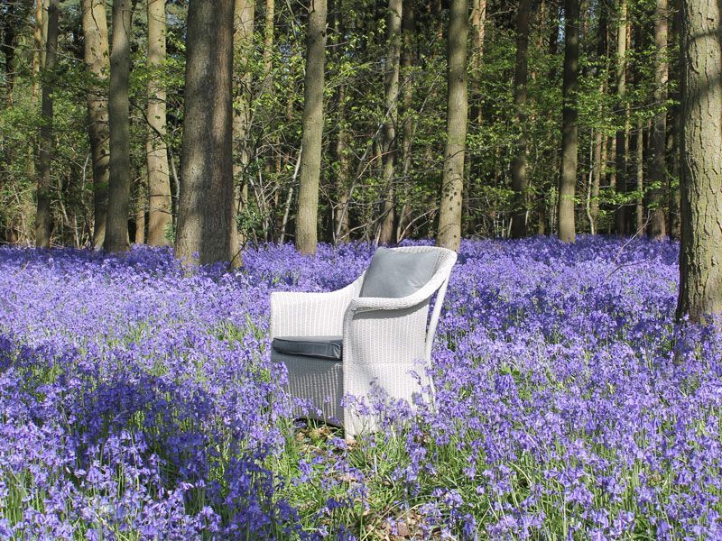 Eco Loom Chair - White