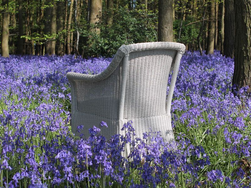 Eco Loom Chair | White-Garden Furniture Centre-MidInstock,instock,MidRange,Outdoor Dining,Dining Chair,Rattan,Outdoor Furniture,Rattan Furniture-{collection_title}