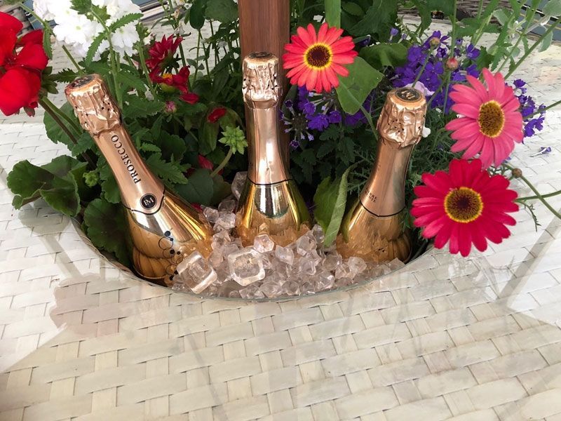 Fiji Bar Set with Ice Box