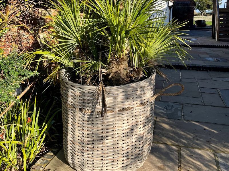 Fiji Basket -Garden Furniture Centre-48Hour Dispatch,MidInstock,instock,LowRange,MidRange,Under 100,Storage Accessories,Rattan,Outdoor Furniture,Conservatory,Rattan Furniture,Accessories,Indoor Accessories,Outdoor Storage,Fiji Range,Ornaments Accessories,Fiji-{collection_title}