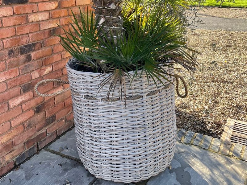 Fiji Basket -Garden Furniture Centre-48Hour Dispatch,MidInstock,instock,LowRange,MidRange,Under 100,Storage Accessories,Rattan,Outdoor Furniture,Conservatory,Rattan Furniture,Accessories,Indoor Accessories,Outdoor Storage,Fiji Range,Ornaments Accessories,Fiji-{collection_title}