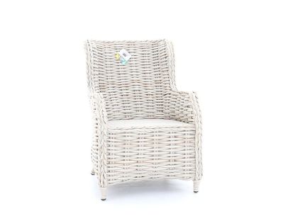 Fiji Dining Armchair