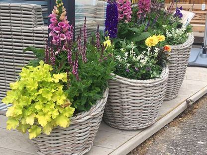 Fiji Flower Baskets 