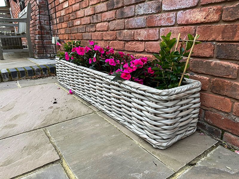 Fiji Trough Planter