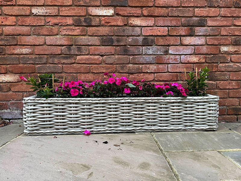 Fiji Trough Planter