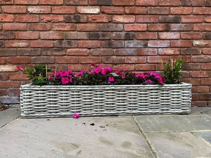 Fiji Trough Planter