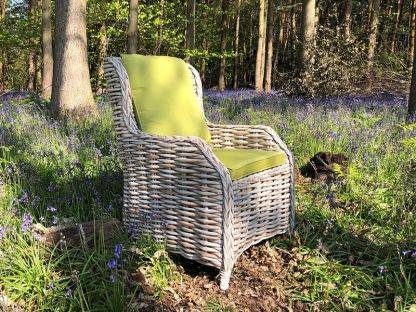 Fiji Dining Armchair