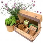 Mini Herb Pantry