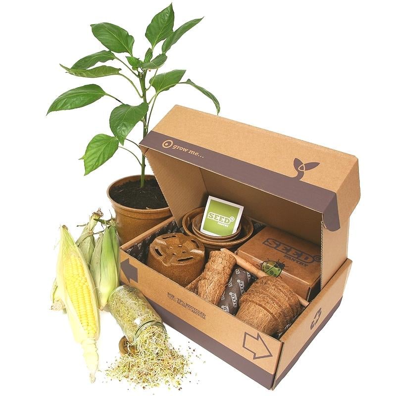 Seed Pack