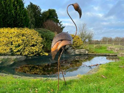 Flamingo Head Up