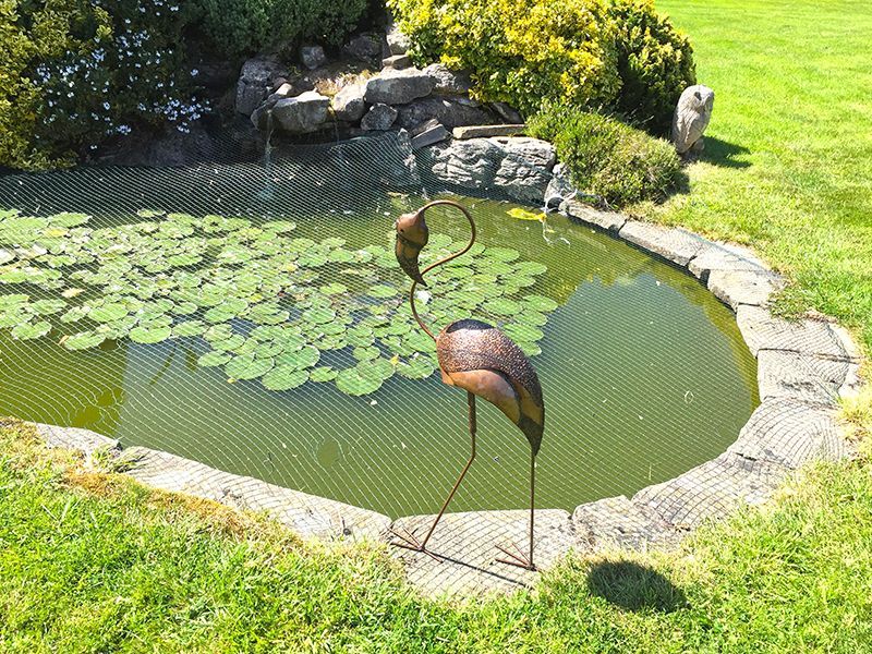 Flamingo Head Twist