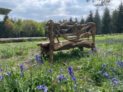 Forest Teak Bench 