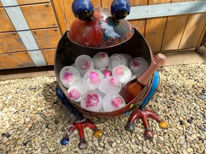 Freddy The Frog 