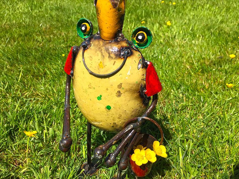 Frog King with Bucket -Garden Furniture Centre-48Hour Dispatch,LowRange,Under 100,Ornaments,Ranges,Animal Garden Ornaments,Think Outside Range,Metal Garden Ornaments,Think Outside Range Ranges,Gifts,Ornaments Accessories,Accessories-{collection_title}