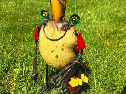 Frog King with Bucket 