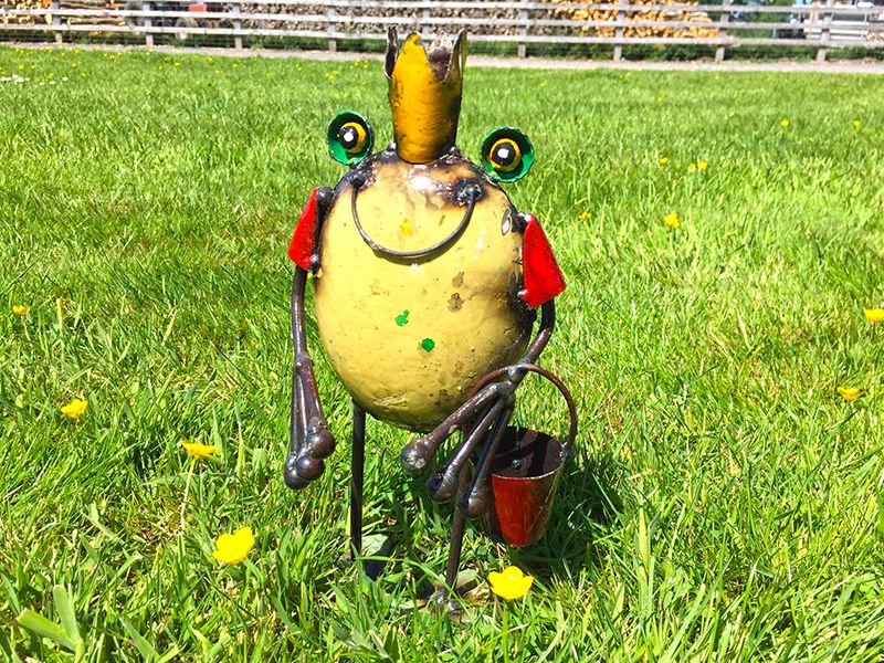 Frog King with Bucket -Garden Furniture Centre-48Hour Dispatch,LowRange,Under 100,Ornaments,Ranges,Animal Garden Ornaments,Think Outside Range,Metal Garden Ornaments,Think Outside Range Ranges,Gifts,Ornaments Accessories,Accessories-{collection_title}