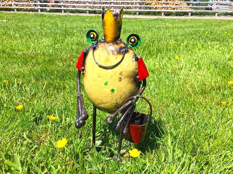 Frog King with Bucket 