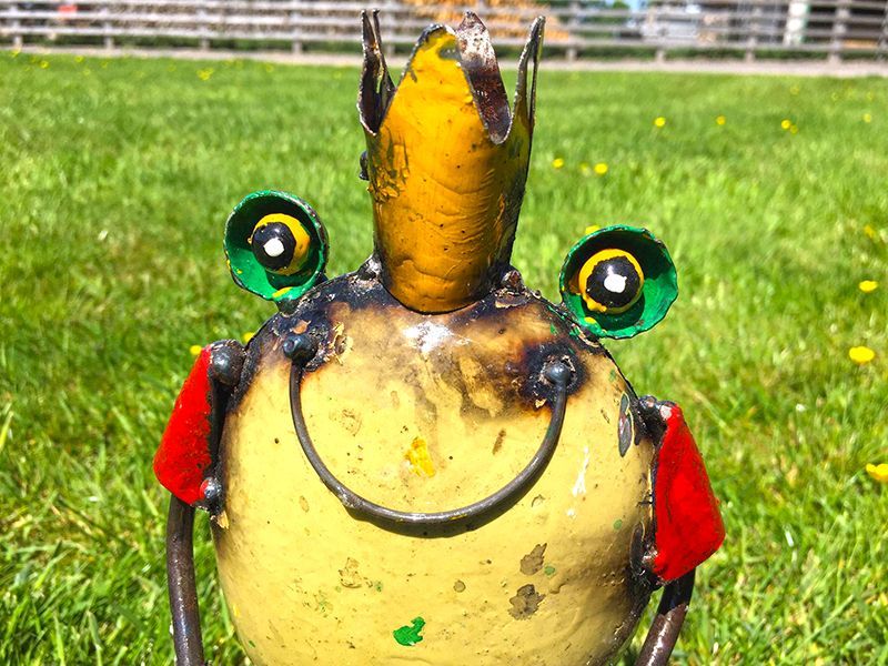 Frog King with Bucket -Garden Furniture Centre-48Hour Dispatch,LowRange,Under 100,Ornaments,Ranges,Animal Garden Ornaments,Think Outside Range,Metal Garden Ornaments,Think Outside Range Ranges,Gifts,Ornaments Accessories,Accessories-{collection_title}