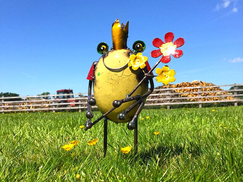 Frog King With Flowers