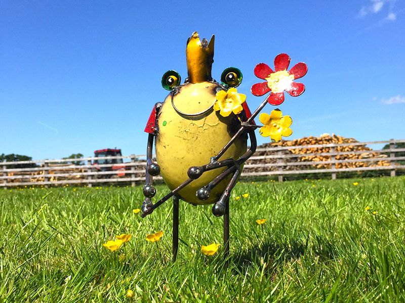 Frog King With Flowers