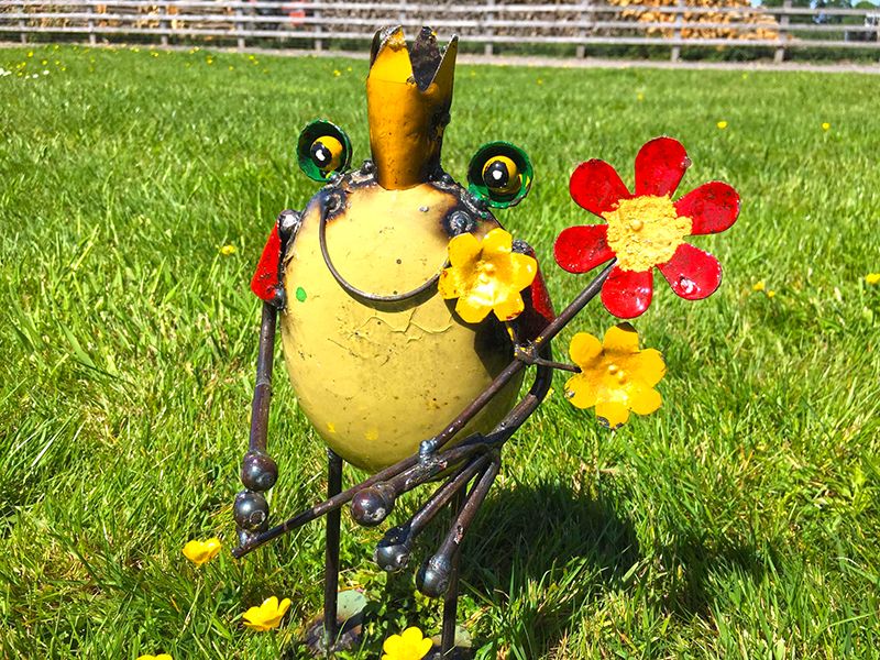 Frog King With Flowers