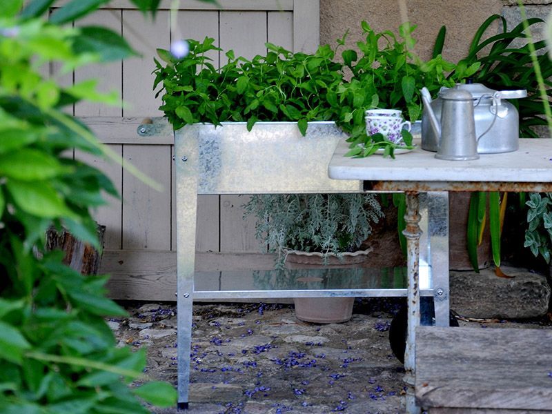 Urban Garden Trolley | Galvanised