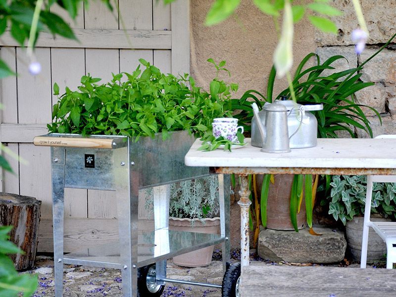 Urban Garden Trolley | Galvanised-Garden Furniture Centre-LowRange,Accessories,Garden Planters,Accessories Gazebos,Urban Garden Trolley,Sale,48Hour Dispatch-{collection_title}