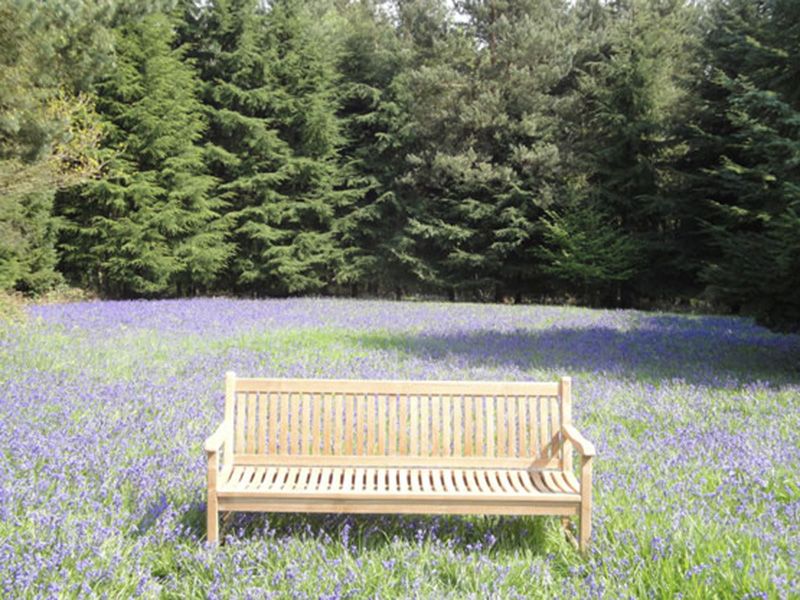Westminster Bench 1.8m 