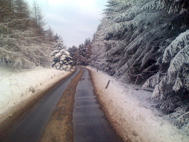 winter scene