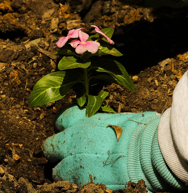 gardening 2
