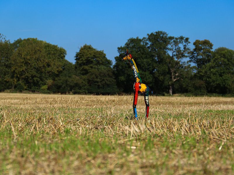 Gerald Baby Giraffe-Garden Furniture Centre-LowRange,Accessories,Think Outside Range Ranges,Pets & Wildlife Accessories,Ornaments Accessories,48Hour Dispatch-{collection_title}