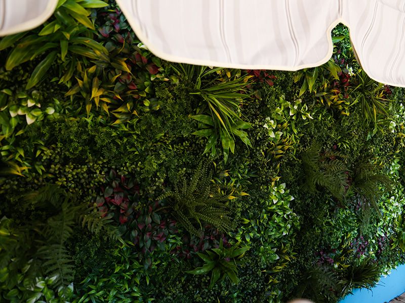 Living Wall Tile | Austria | 1m x 1m