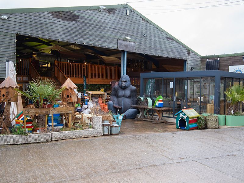 Gus the Giant Gorilla Ornament-Garden Furniture Centre-HighRange,Ornaments,Ornaments Accessories,Accessories,Black Friday Month-{collection_title}