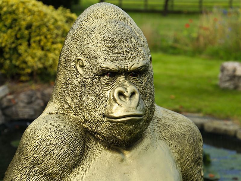 Gorilla Ornament | Gold-Garden Furniture Centre-MidInstock,instock,MidRange,Ornaments,Animal Garden Ornaments,Black Friday Month-{collection_title}
