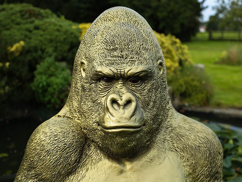Gorilla Ornament | Gold-Garden Furniture Centre-MidInstock,instock,MidRange,Ornaments,Animal Garden Ornaments,Black Friday Month-{collection_title}