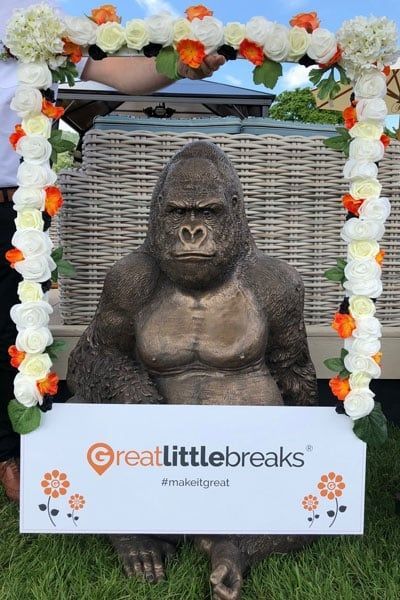 Gorilla Ornament | BLACK FRIDAY MONTH