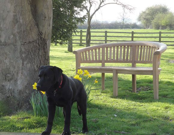 Half Moon Bench-Garden Furniture Centre-MidRange,Benches,Outdoor Furniture,Half Moon Bench Range,Teak Benches Benches,Teak,Teak Benches-{collection_title}